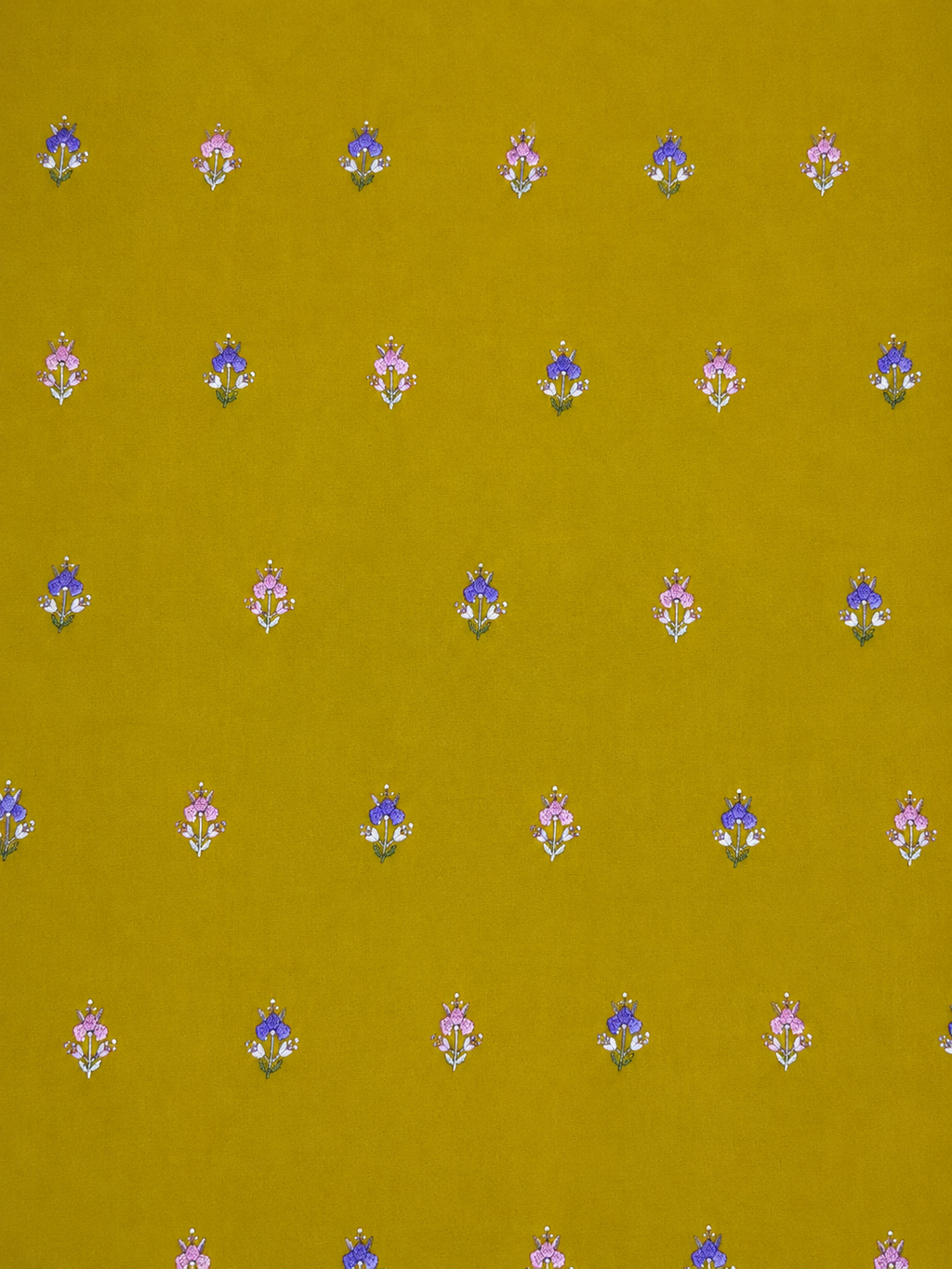 Olive mustard