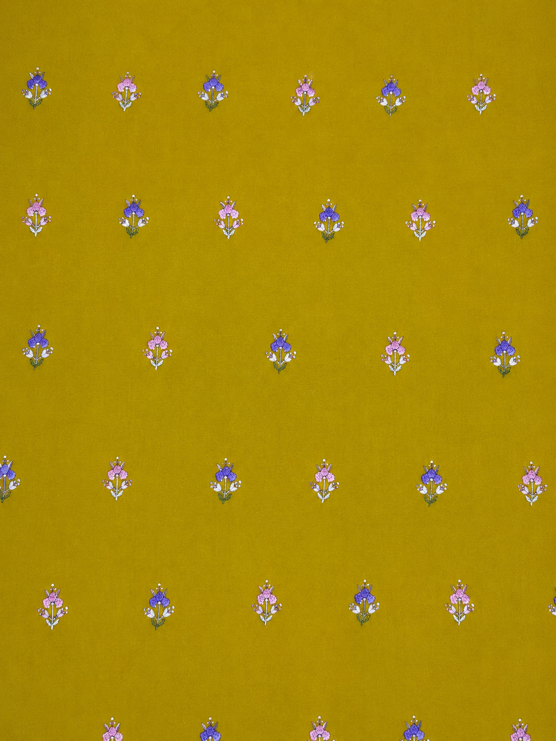 Olive mustard